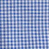 Charleston Parkwood Micro-Gingham Sport Shirt | Southern Tide Men