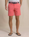 Sunkist Coral