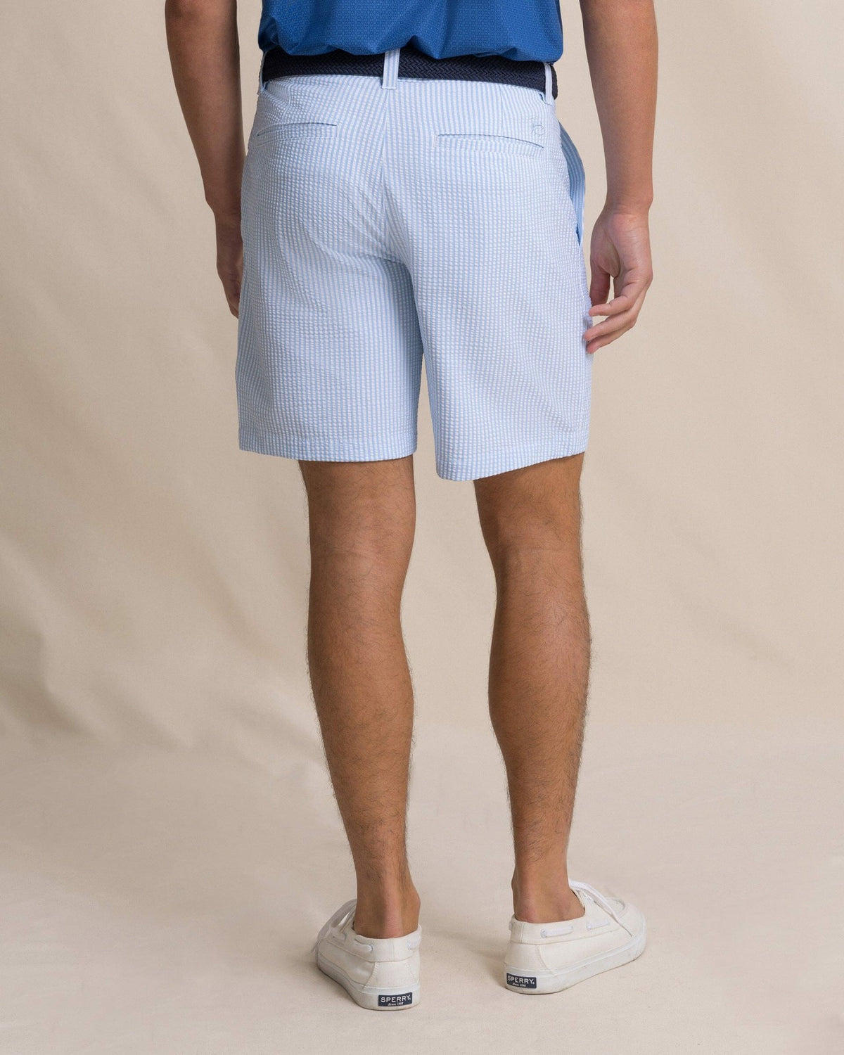 Coral Vista Seersucker 8" Performance Short | Southern Tide Men