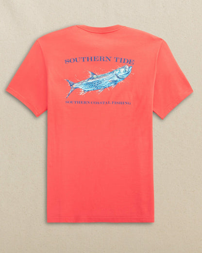Sunset Coral,S