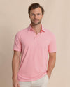 Sunkist Coral