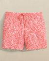 Sunkist Coral