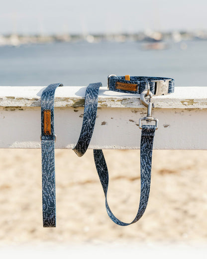 ST x Pawsitivity Schooling Fish Dog Leash | Southern Tide Home