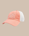 Apricot Blush Coral